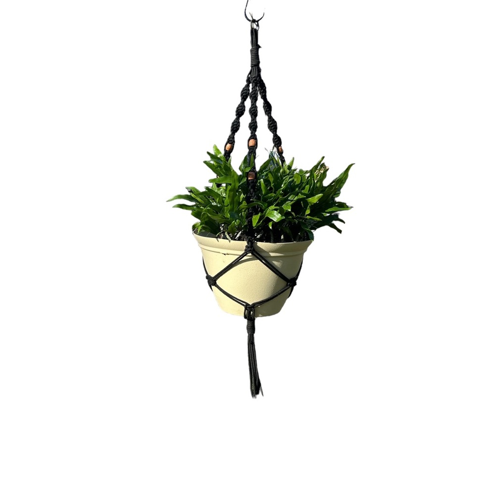 Black macramé plant hanger